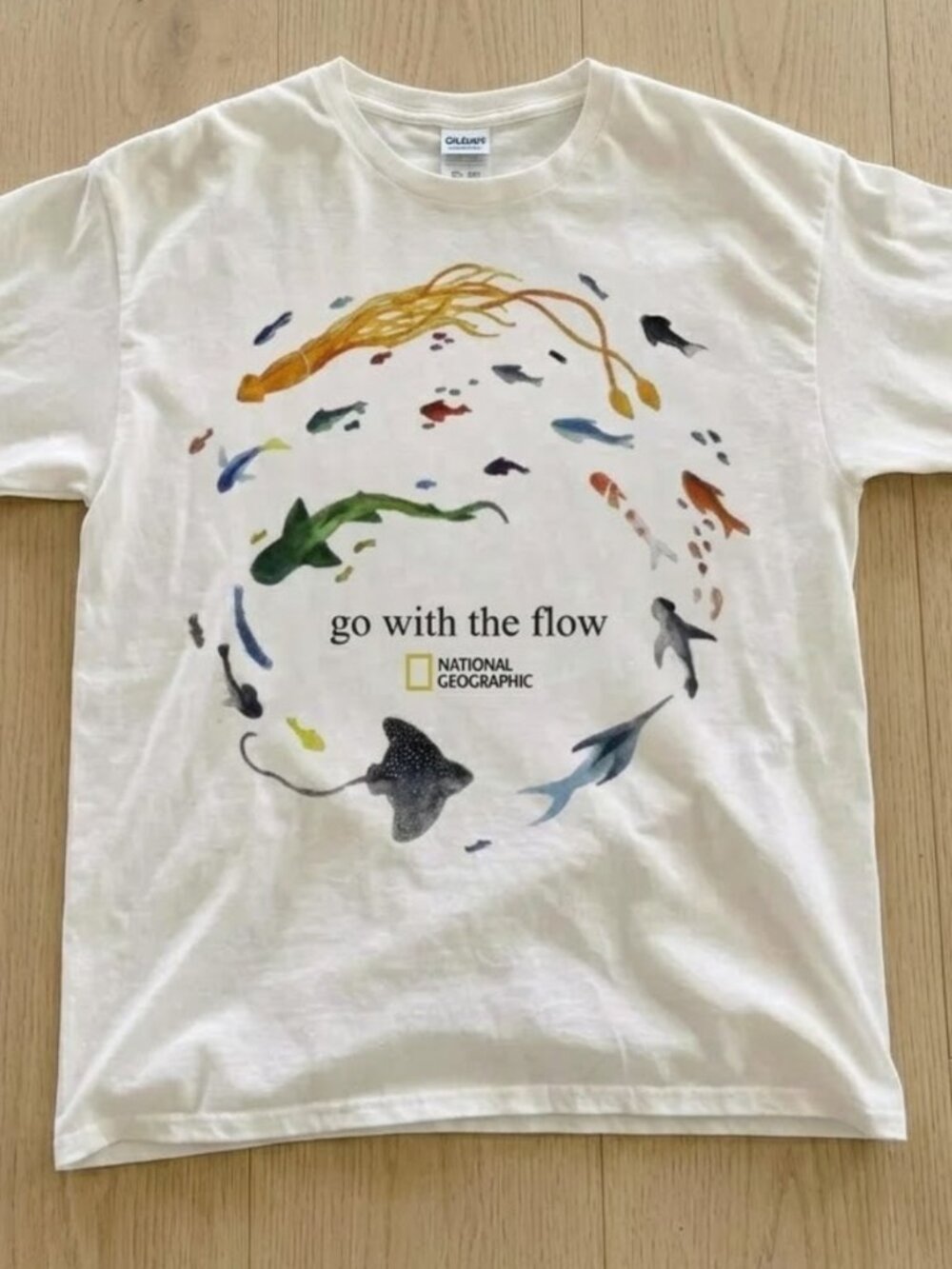 Go With The Flow Marine Animals Ocean Graphic Unisex T-Shirt Reprint